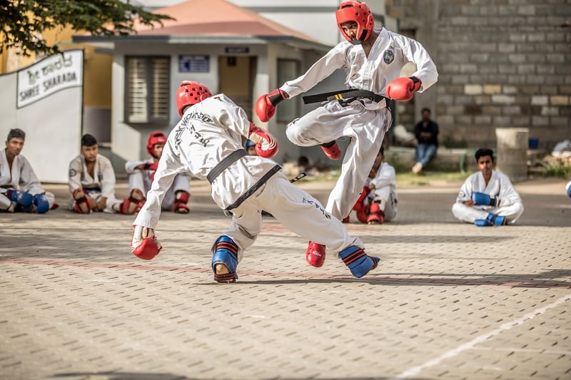 Taekwondo School