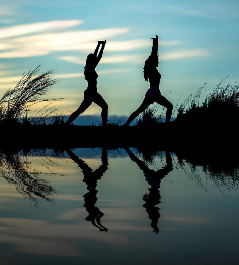 Meditation and Yoga